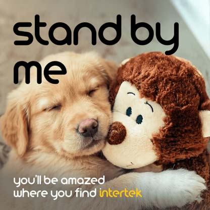 A dog cuddling with a studded animal